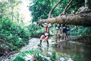 BIB: 
                            <button type="button" onclick="openModal(25444091)" class="btn btn-primary btn-sm float-right btn-popup" data-toggle="modal" data-target=".modal-high-quality">
                        <i class="fas fa-shopping-cart"></i> Add to Cart
                    </button>
                                            <button type="button" onclick="isThisMe(25444091, true)" class="btn btn-success btn-sm float-right btn-popup btn-isme hidden" data-toggle="tooltip" data-placement="bottom" title="นี่คือรูปของคุณใช่ไหม คลิกที่นี่เพื่อเอาเข้าอัลบั้ม">
                        <i class="fas fa-plus"></i> Add to album
                    </button>
                    <button type="button" onclick="isThisMe(25444091, false)" class="btn btn-warning btn-sm float-right btn-popup btn-isnotme hidden">
                        <i class="fas fa-ban"></i> Remove from album
                    </button>